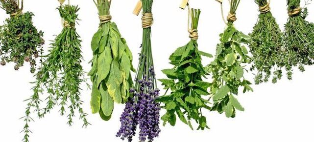 Herbs for increasing potency in men